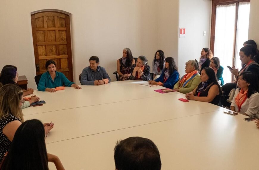 APROBACIÓN DE LA LEY INTEGRAL CONTRA LA VIOLENCIA DE GÉNERO: AVANCES Y PERSPECTIVAS EN EL MES DE LA MUJER