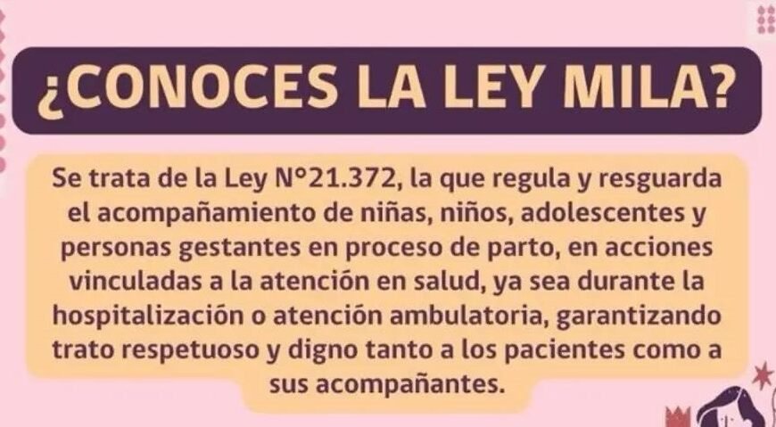 LEY MILA (21.372)