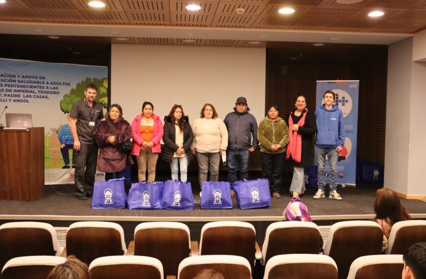 PROYECTO IMPULSA ALIMENTACIÓN SALUDABLE PARA ADULTOS MAYORES DE LA ARAUCANÍA