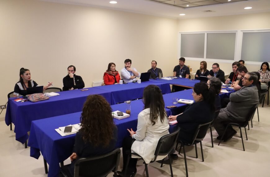 COMITÉ DE EMERGENCIAS EVALÚA AVANCES ANUALES Y DEFINE NUEVOS DESAFÍOS PARA REFORZAR LA PREPARACIÓN INSTITUCIONAL